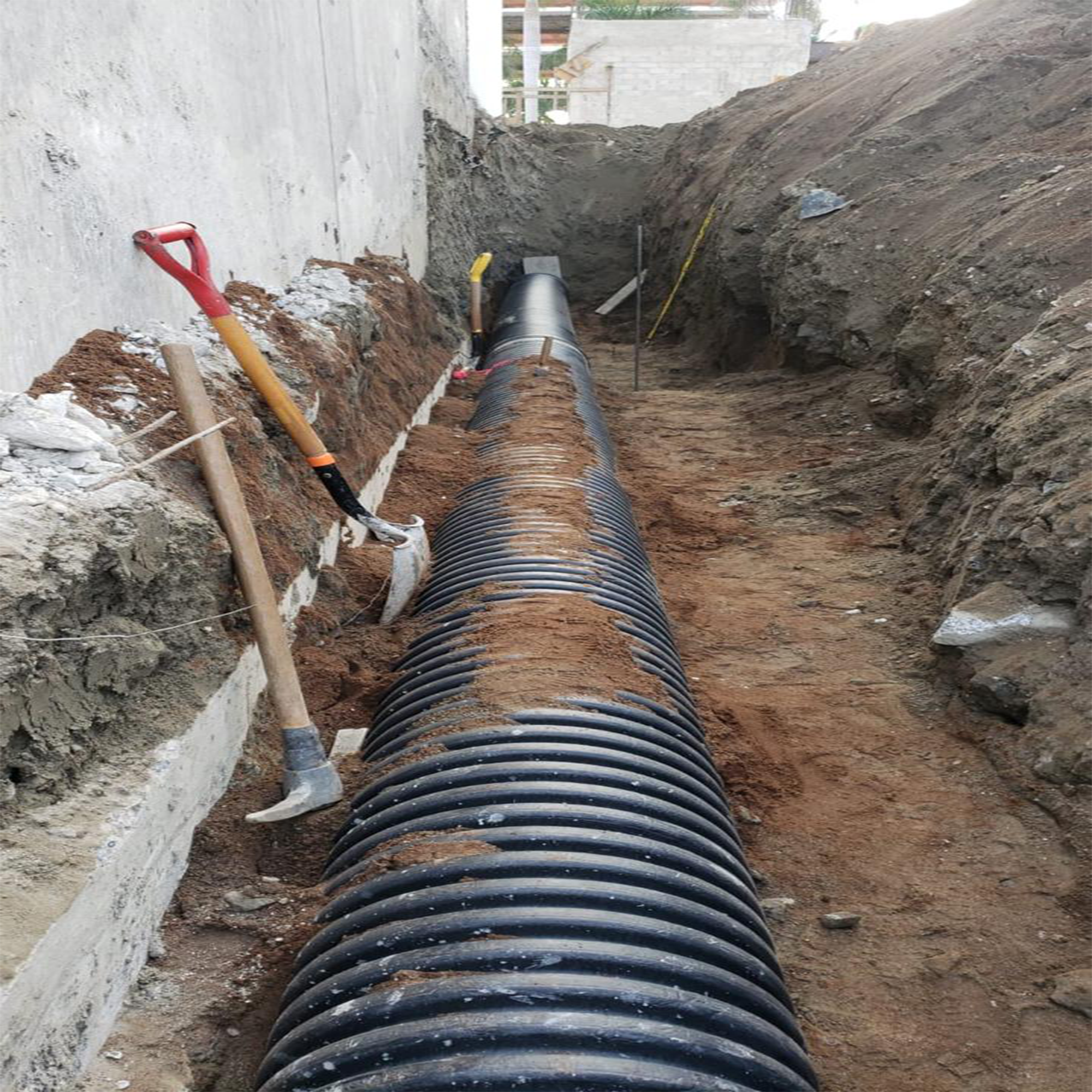 Sanitarias 3